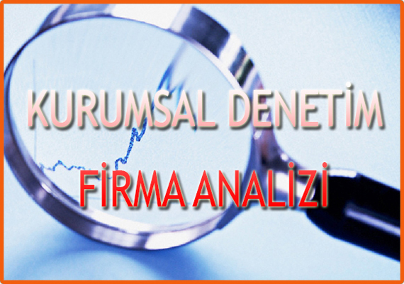 Kurumsal Denetim ve Firma Analizi