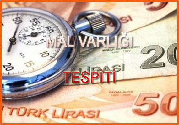 Mal Varlığı Tespiti